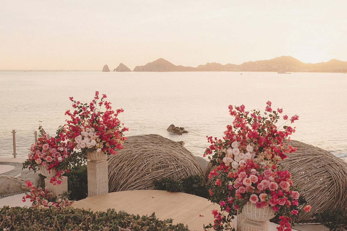 Bougainvillea installation facing El Arco at sunset