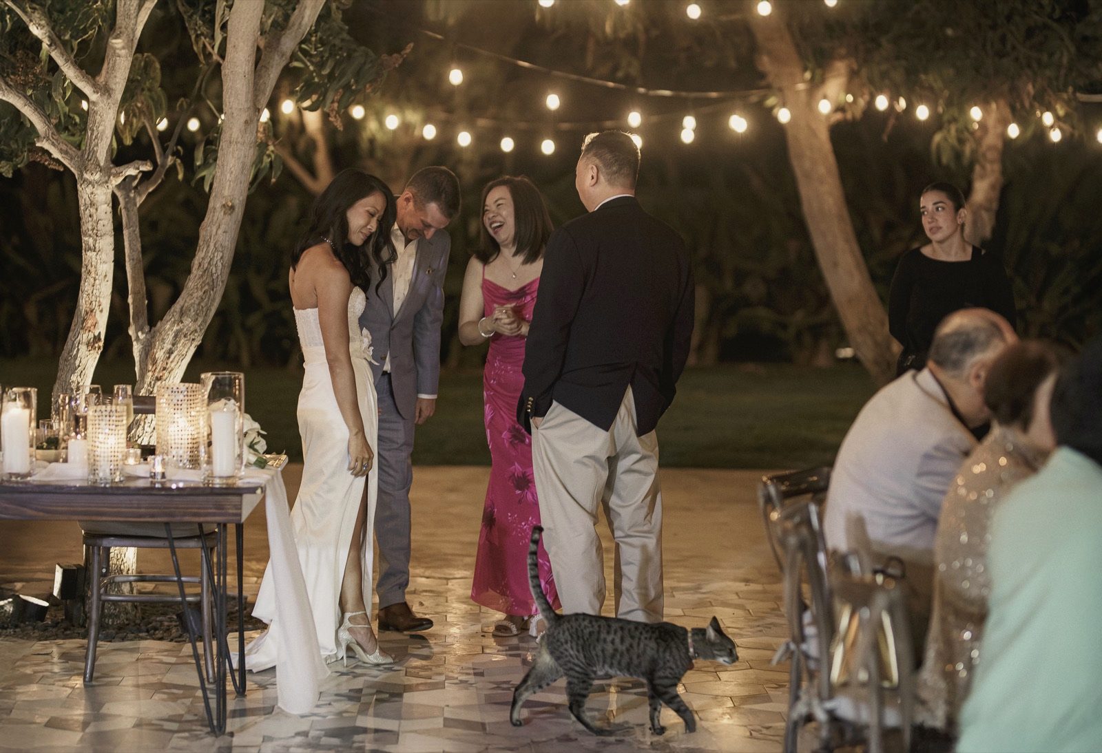 Candlelit garden reception under string lights